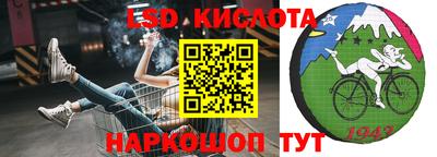 прущие грибы Краснокаменск