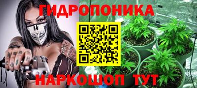 прущие грибы Краснокаменск