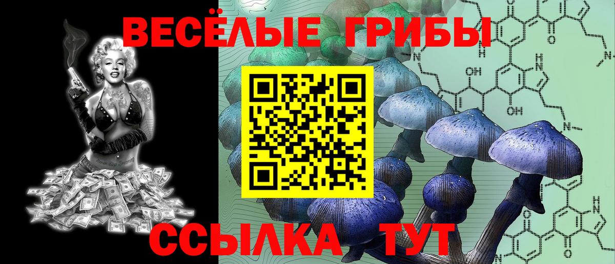 Галлюциногенные грибы Cubensis Дедовск